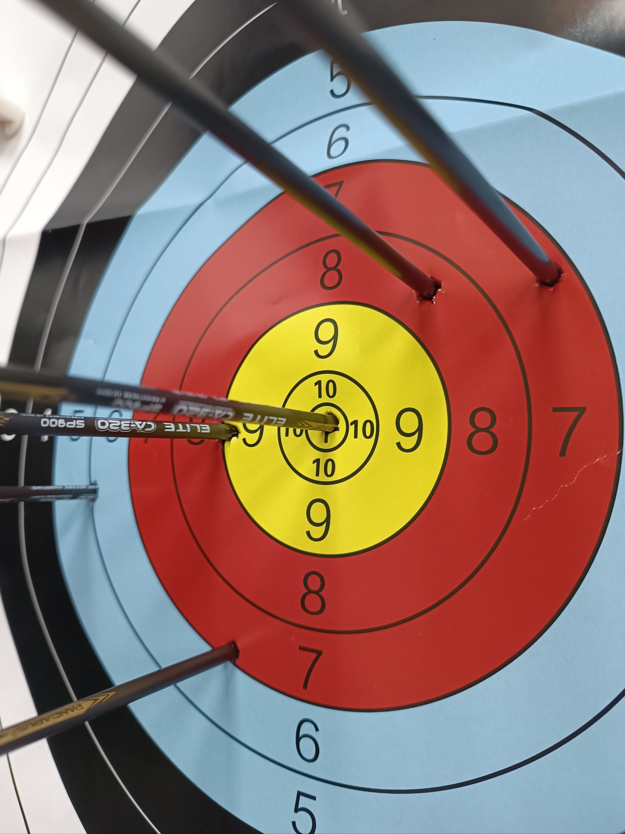 射箭传奇:意大利选手射中靶心夺冠 射箭传奇:意大利选手射中靶心夺冠